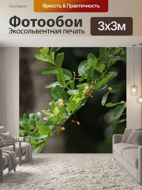 Фотообои Дерево