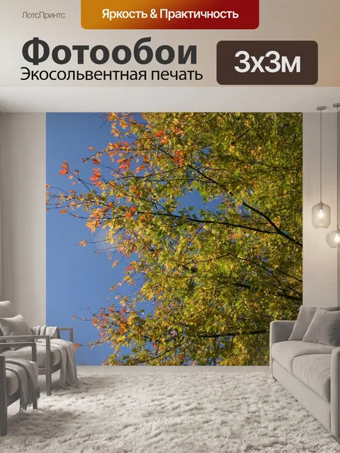 Фотообои Парк