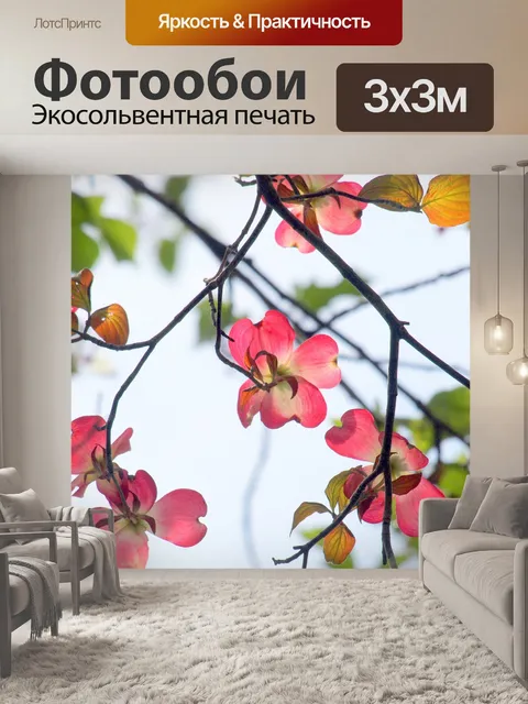 Фотообои Природные