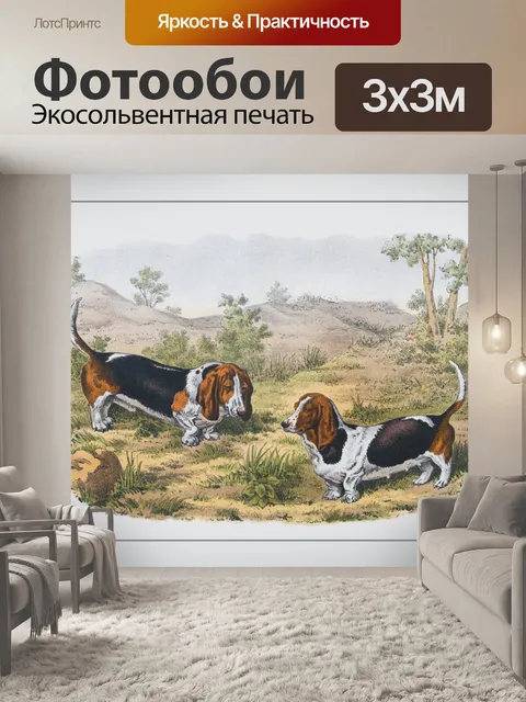 Фотообои Винтажная живопись бассет-хаунд