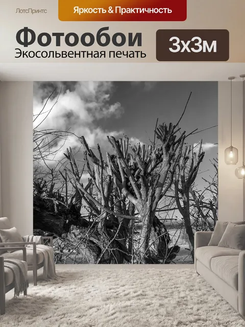 Фотообои Поле &amp; Хедж Черно-белое