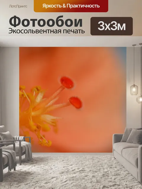 Фотообои Гибискус