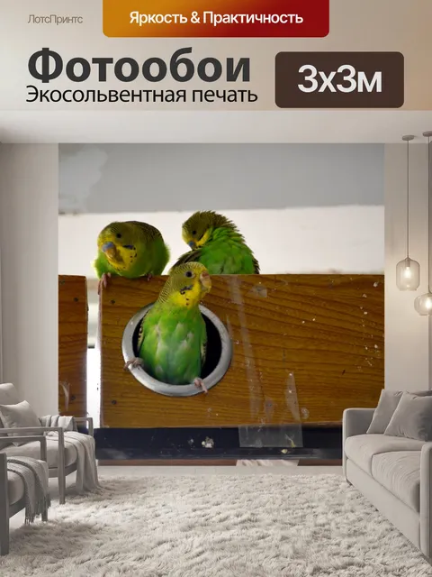 Фотообои Птица Дом (а)