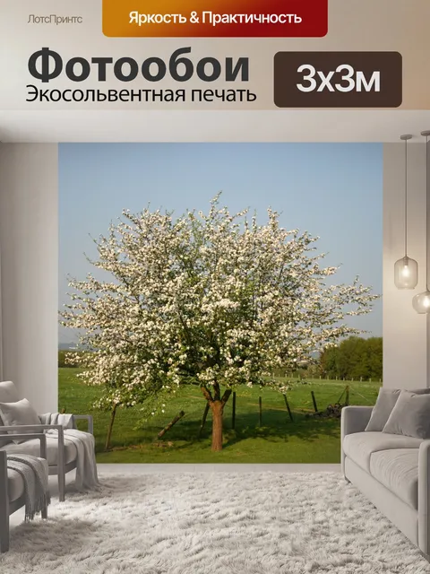 Фотообои Вишня в цвету