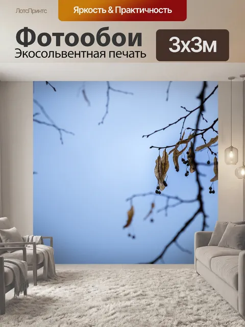 Фотообои Ветви дерева