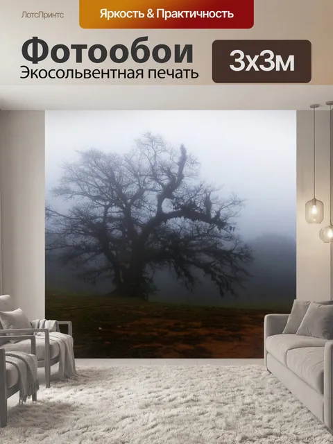 Фотообои Застрявшие в тумане