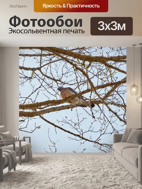 Фотообои Голубь на деревьях