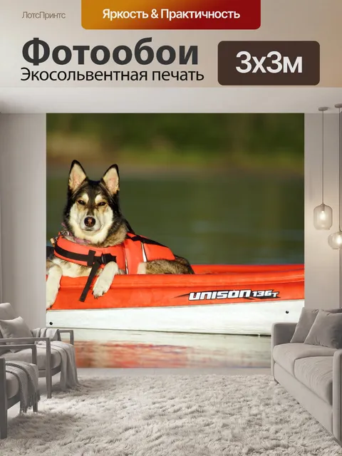 Фотообои Собака