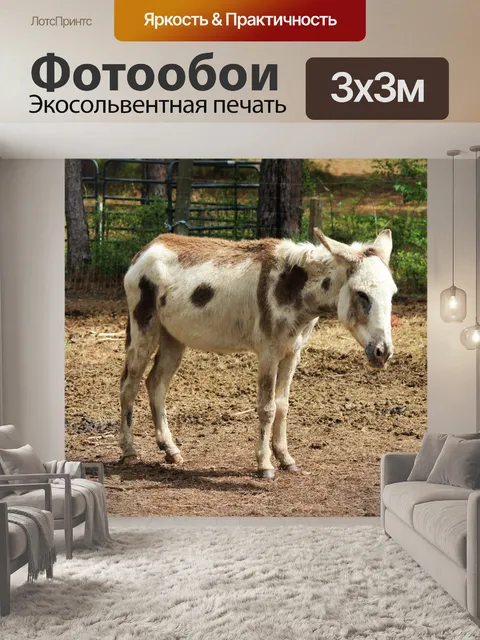Фотообои Пятнистый Осел