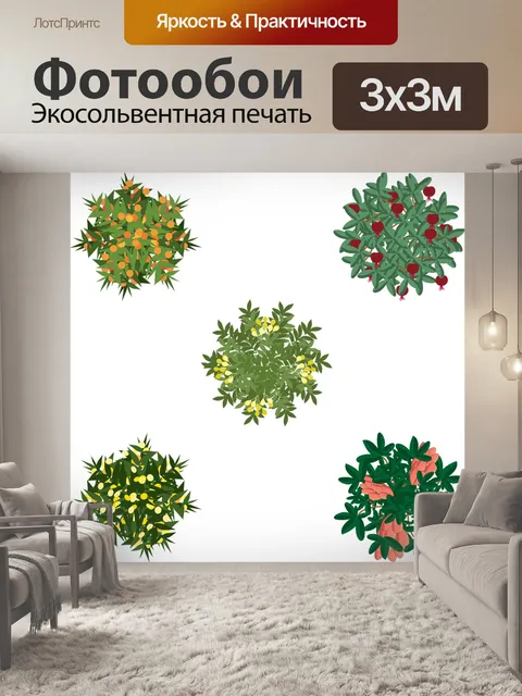 Фотообои Фрукты