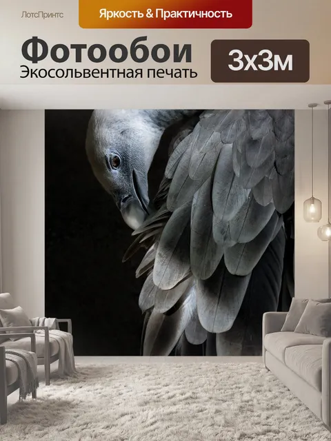 Фотообои Зоопарк