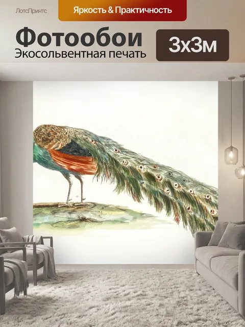 Фотообои Павлин птица винтаж старый