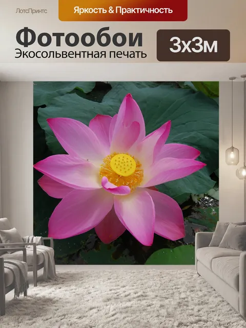 Фотообои Цветы
