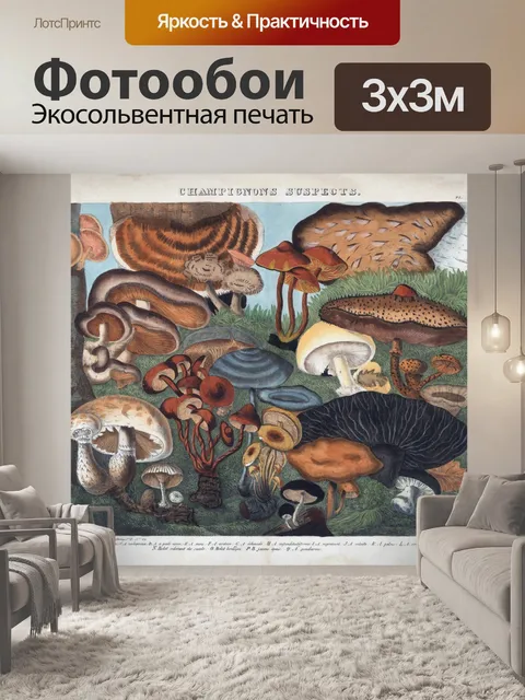 Фотообои Винтажные ботанические грибы-чемпионы