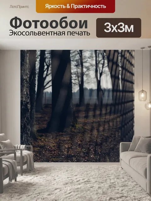 Фотообои Деревья