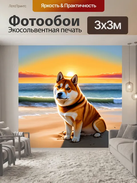Фотообои сиба ину, смотрящая на закат на побережье, с волнами и песком внизу