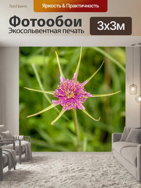 Фотообои Цветы