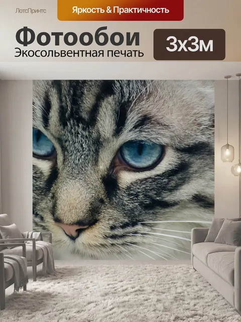 Фотообои Кошка