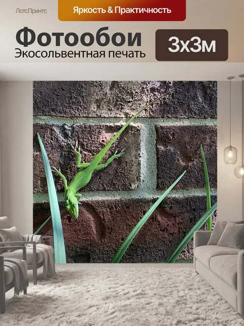 Фотообои Ящерица