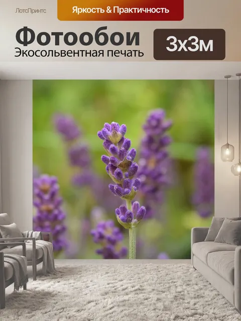Фотообои Лаванда