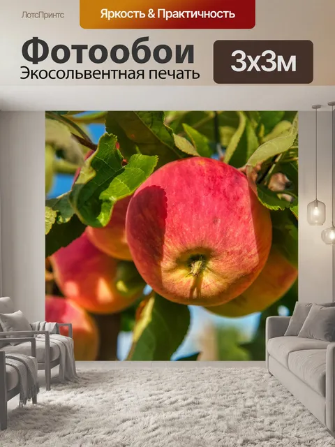 Фотообои Летний регент