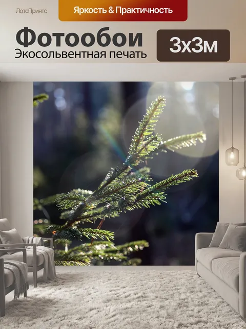 Фотообои Лес