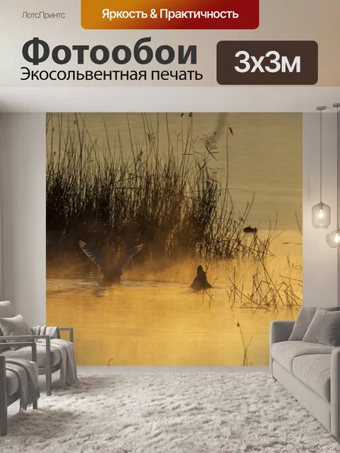 Фотообои Птицы