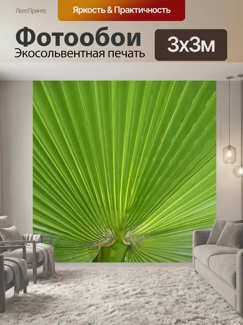 Фотообои Пальма