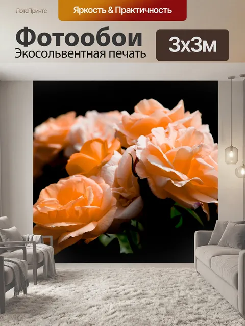 Фотообои Красивая роза