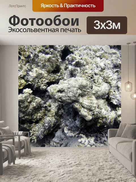 Фотообои Камень рыбы