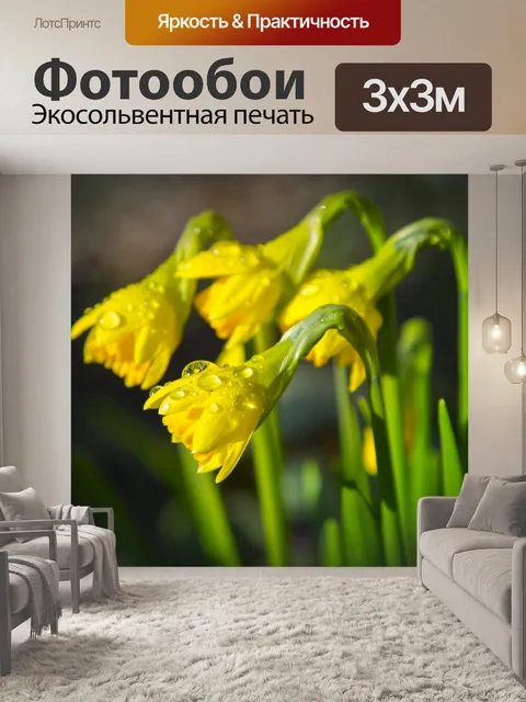 Фотообои Нарцисс цветы