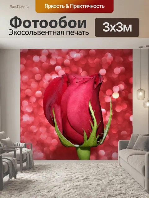 Фотообои Бутон красной розы на розовом боке