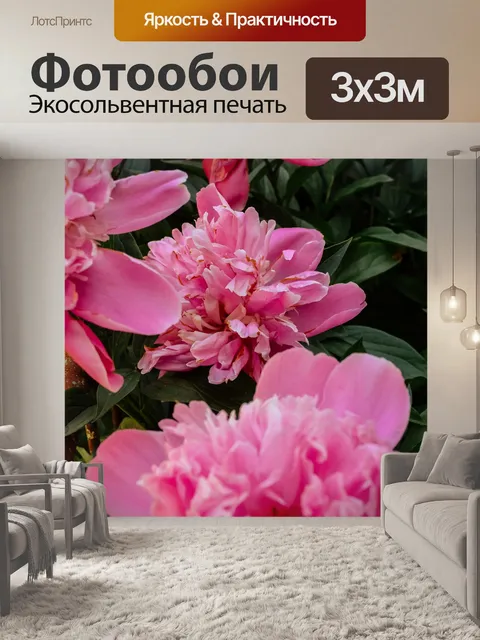 Фотообои Пионы
