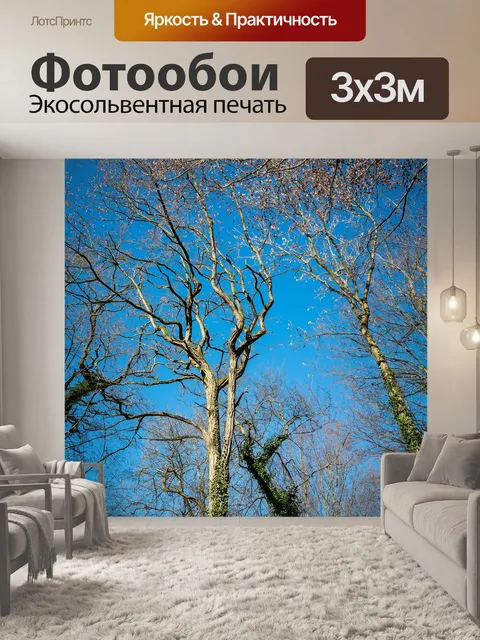 Фотообои Деревья