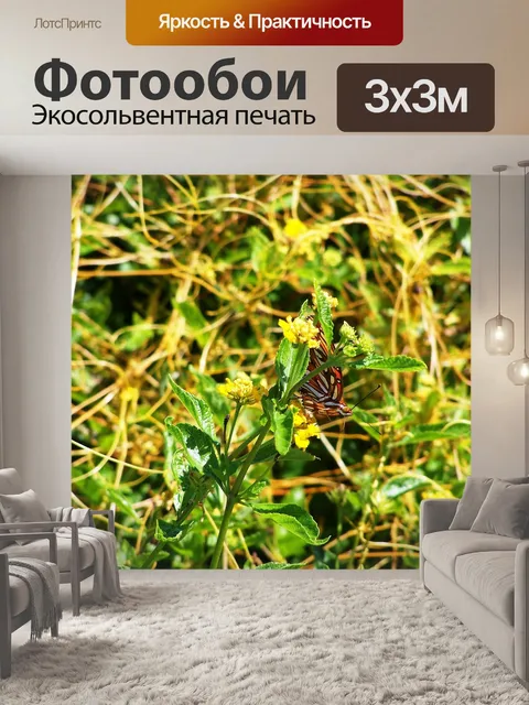 Фотообои Бабочка