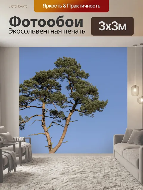 Фотообои Дерево, сосна