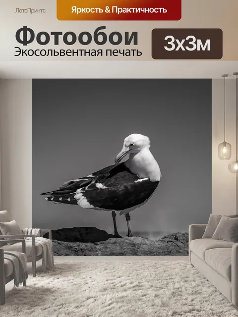 Фотообои Чайка