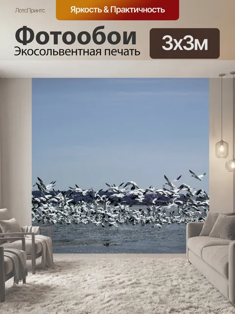 Фотообои Дикие гуси