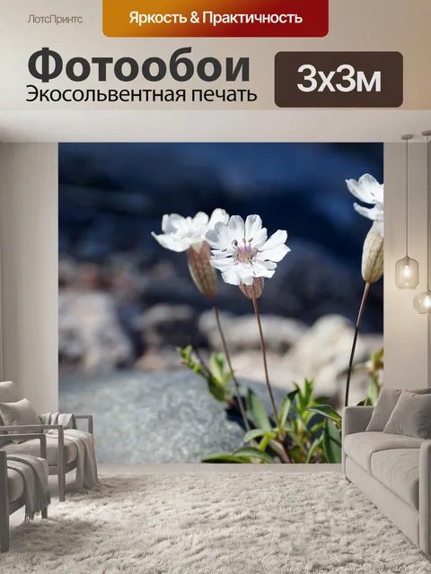 Фотообои Цветок швеция