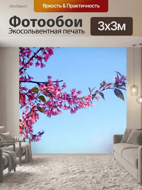 Фотообои Prunus cerasoides, дикая гималайская виш
