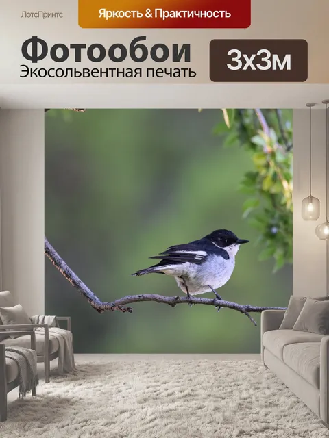 Фотообои Птица
