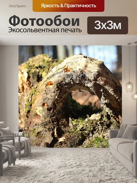 Фотообои Лес