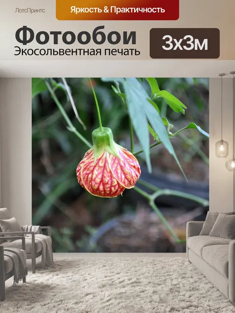 Фотообои Сад