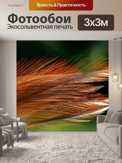 Фотообои Перья