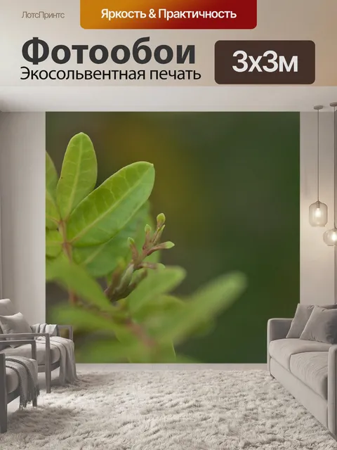 Фотообои Листья