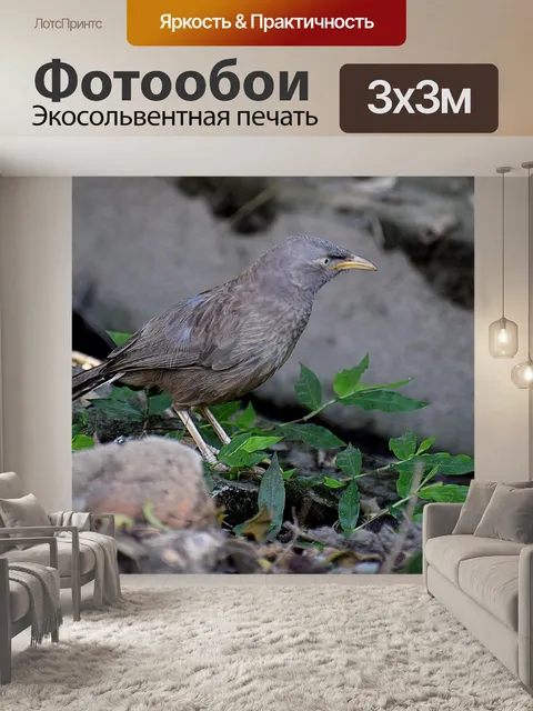 Фотообои Птицы