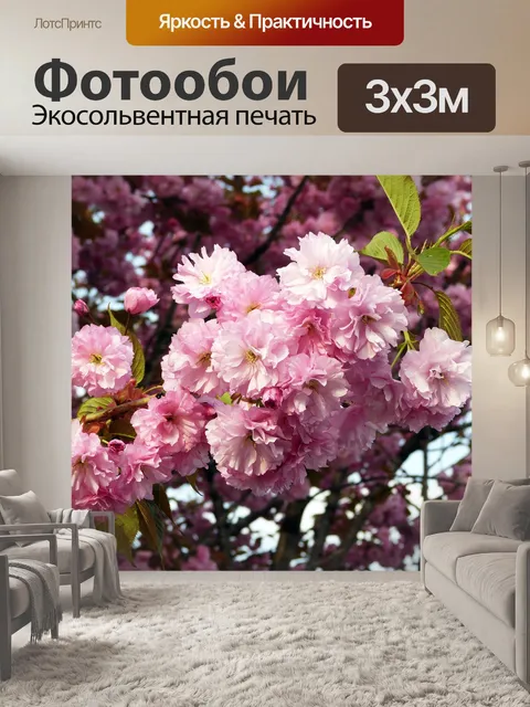 Фотообои Сакура