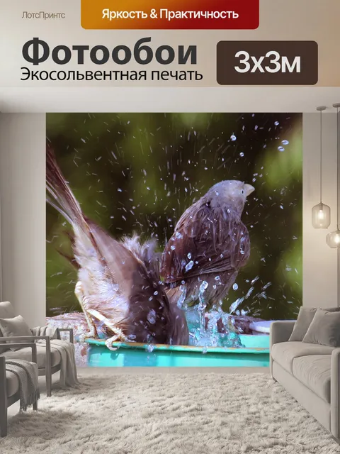Фотообои Воробьи