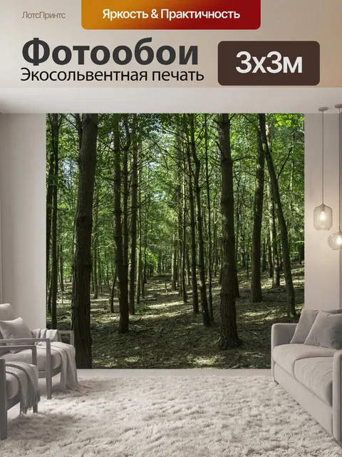Фотообои лес