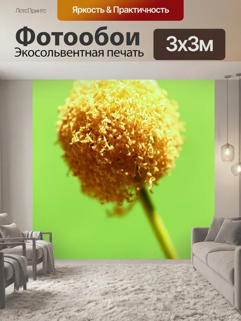 Фотообои Зеленое семя Белый цветок попинака
